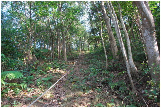 按此在新視窗瀏覽圖片