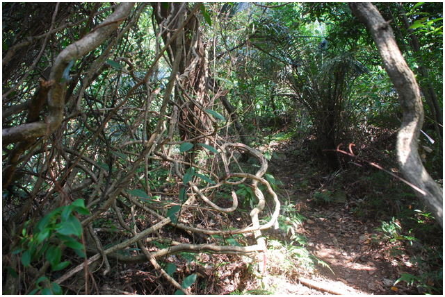 按此在新視窗瀏覽圖片