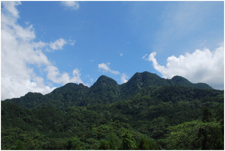 按此在新視窗瀏覽圖片