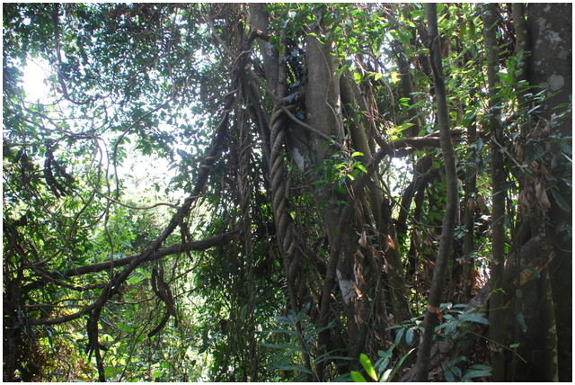 按此在新視窗瀏覽圖片