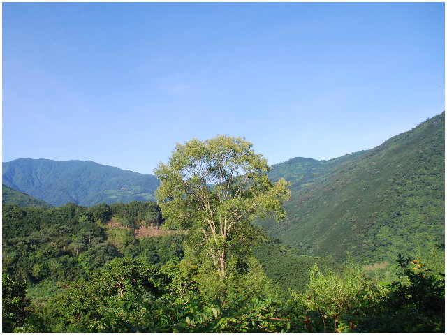 按此在新視窗瀏覽圖片