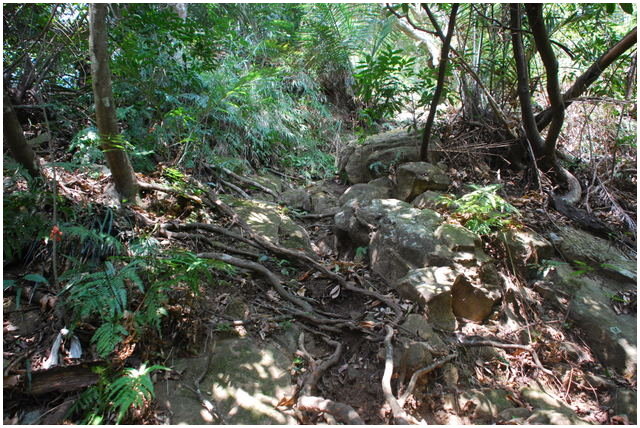 按此在新視窗瀏覽圖片