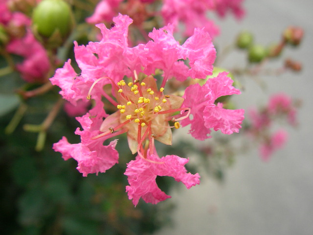 按此在新視窗瀏覽圖片