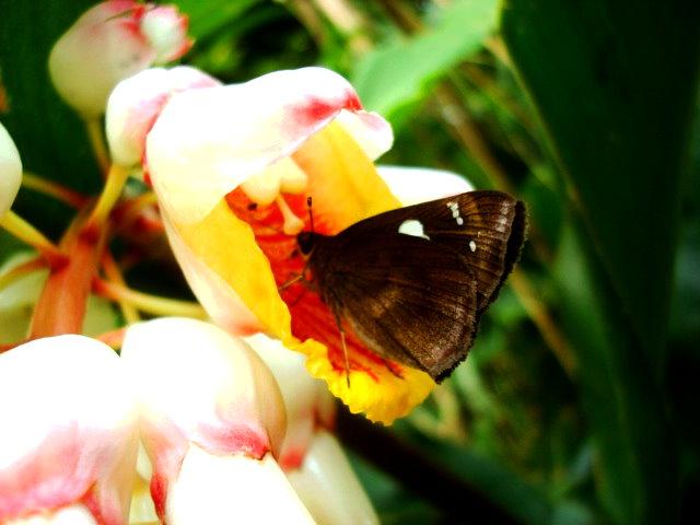 按此在新視窗瀏覽圖片