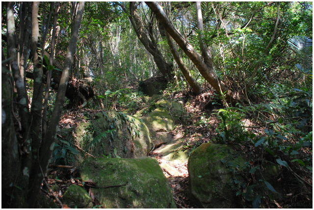 按此在新視窗瀏覽圖片