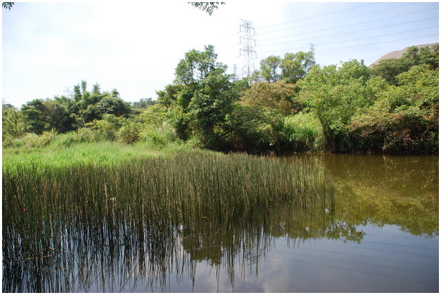 按此在新視窗瀏覽圖片