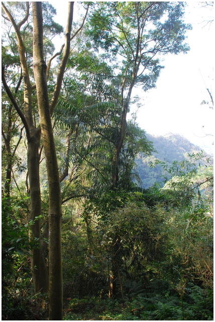 按此在新視窗瀏覽圖片