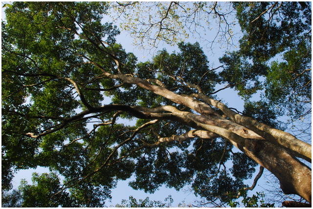 按此在新視窗瀏覽圖片