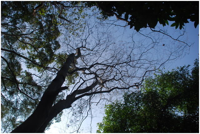 按此在新視窗瀏覽圖片