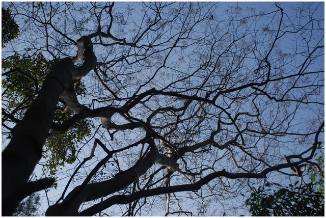 按此在新視窗瀏覽圖片