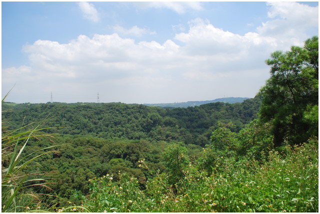 按此在新視窗瀏覽圖片