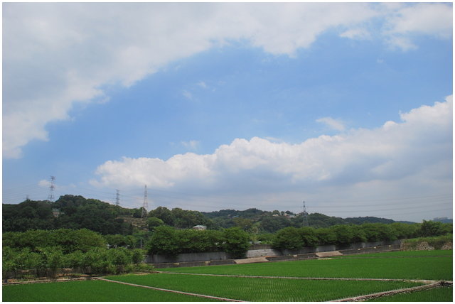 按此在新視窗瀏覽圖片