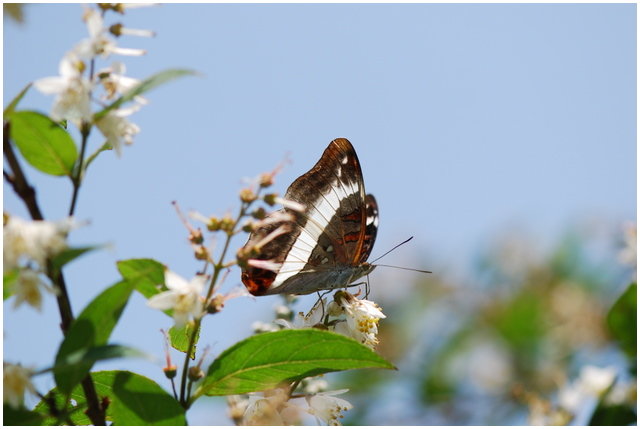 按此在新視窗瀏覽圖片