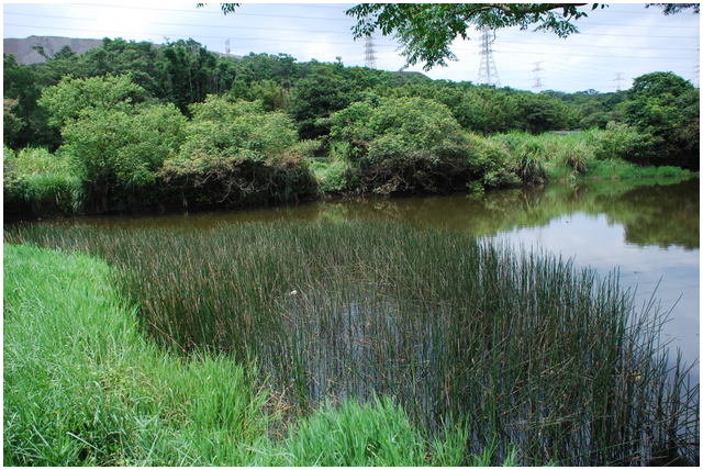 按此在新視窗瀏覽圖片