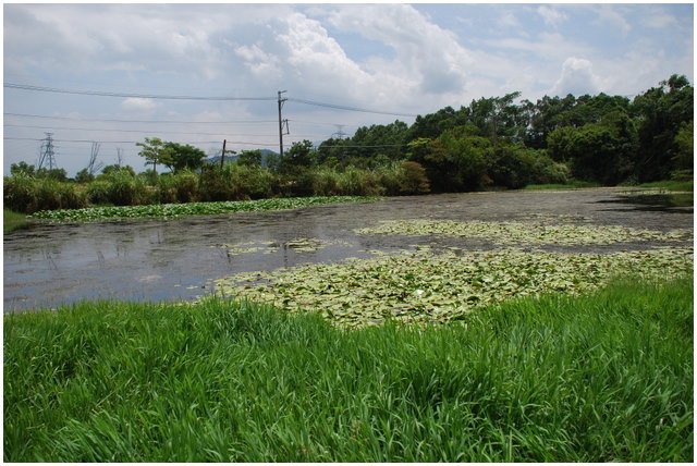 按此在新視窗瀏覽圖片