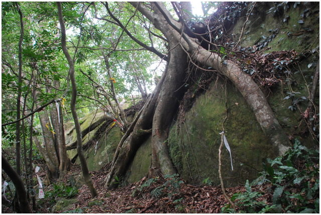 按此在新視窗瀏覽圖片