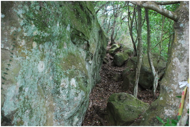 按此在新視窗瀏覽圖片