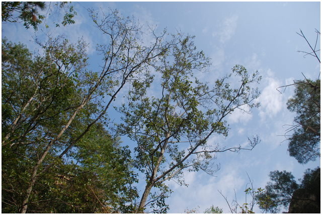 按此在新視窗瀏覽圖片