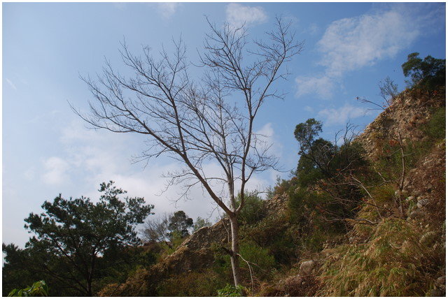 按此在新視窗瀏覽圖片