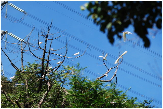 按此在新視窗瀏覽圖片