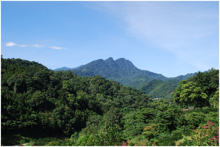 «ö¦¹¦b·sµøµ¡ÂsÄý¹Ï¤ù