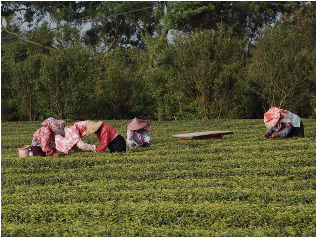 «ö¦¹¦b·sµøµ¡ÂsÄý¹Ï¤ù