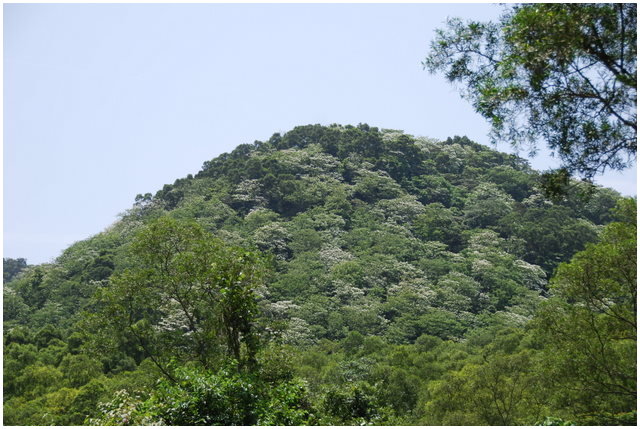 «ö¦¹¦b·sµøµ¡ÂsÄý¹Ï¤ù