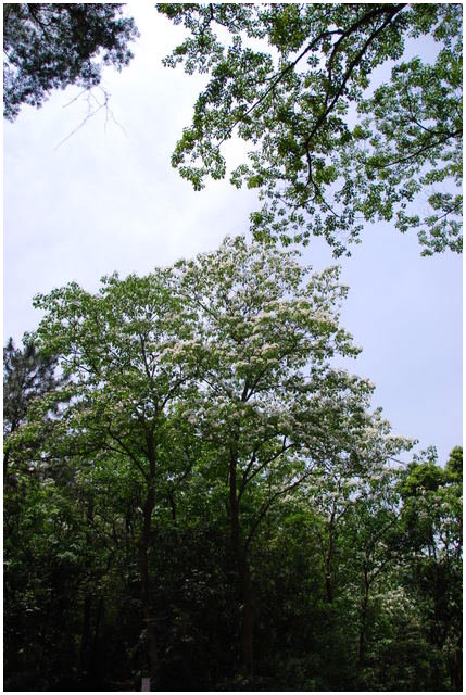 «ö¦¹¦b·sµøµ¡ÂsÄý¹Ï¤ù