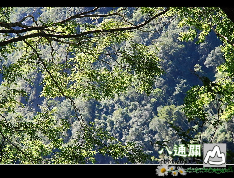 按此在新視窗瀏覽圖片