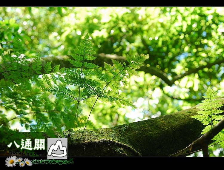 按此在新視窗瀏覽圖片