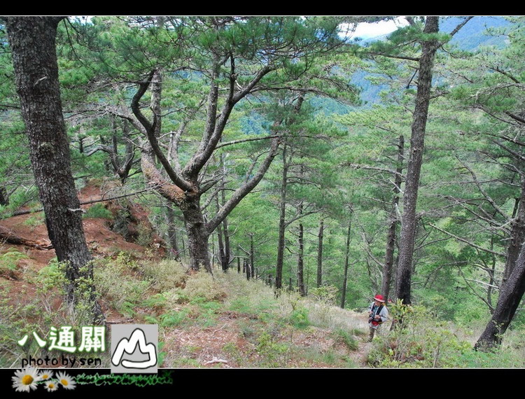 按此在新視窗瀏覽圖片