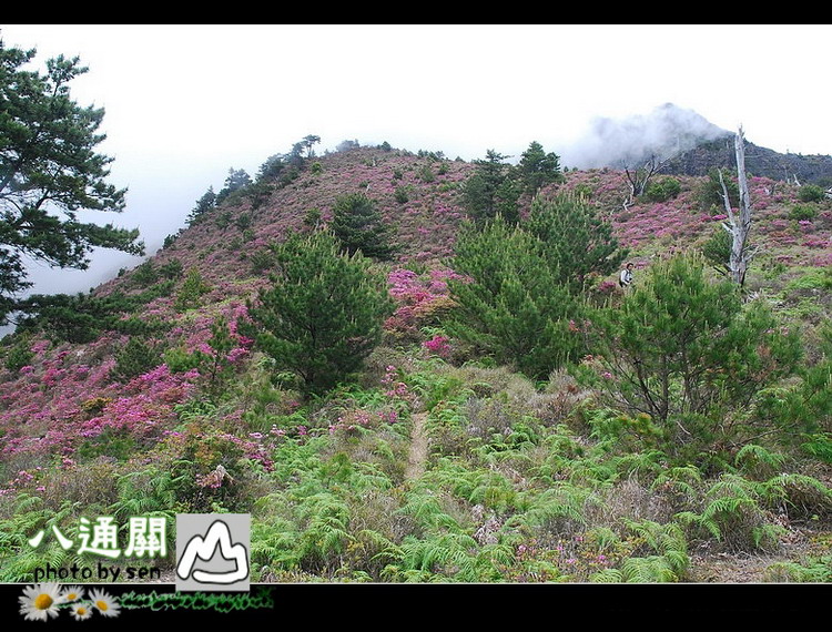 按此在新視窗瀏覽圖片