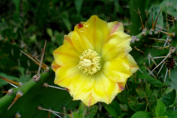 按此在新視窗瀏覽圖片