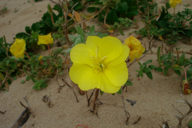 按此在新視窗瀏覽圖片