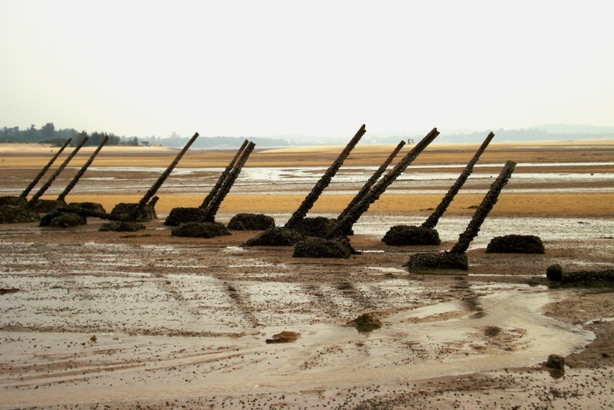 按此在新視窗瀏覽圖片