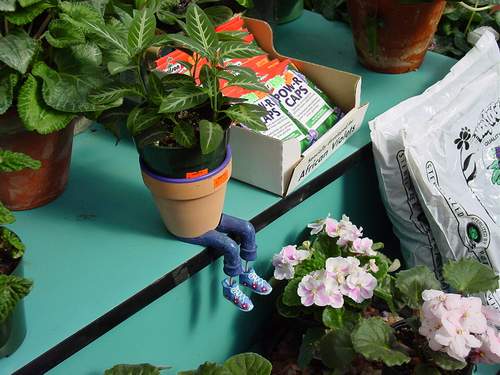 按此在新視窗瀏覽圖片