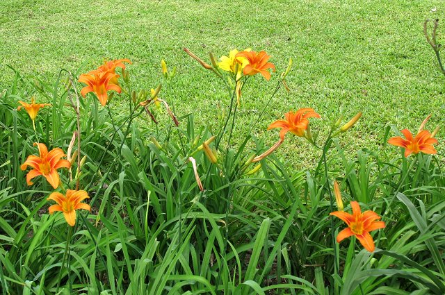 按此在新視窗瀏覽圖片