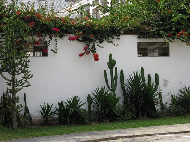 按此在新視窗瀏覽圖片