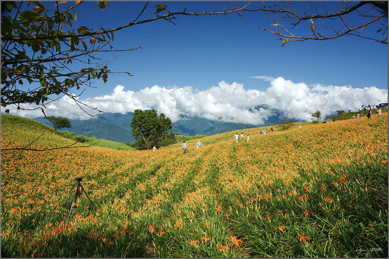 按此在新視窗瀏覽圖片