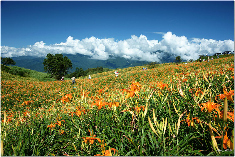 按此在新視窗瀏覽圖片