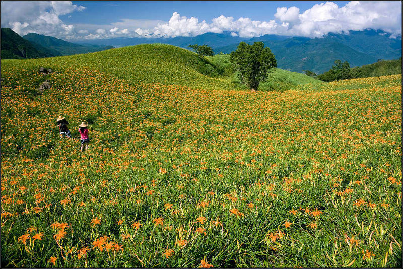 按此在新視窗瀏覽圖片