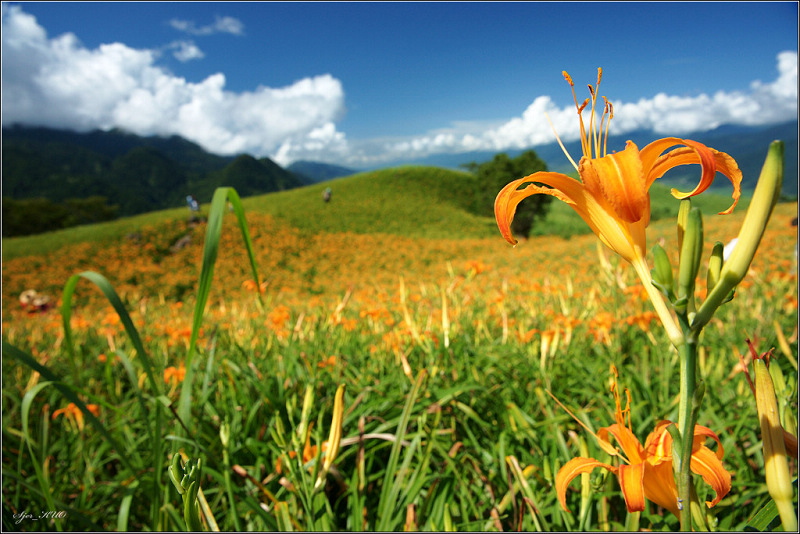 按此在新視窗瀏覽圖片