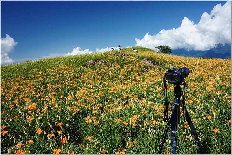 按此在新視窗瀏覽圖片