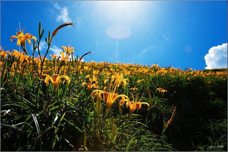 按此在新視窗瀏覽圖片