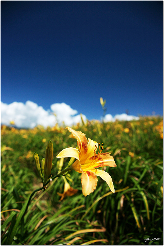 按此在新視窗瀏覽圖片