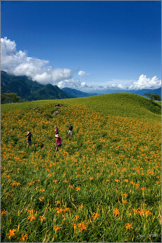 按此在新視窗瀏覽圖片