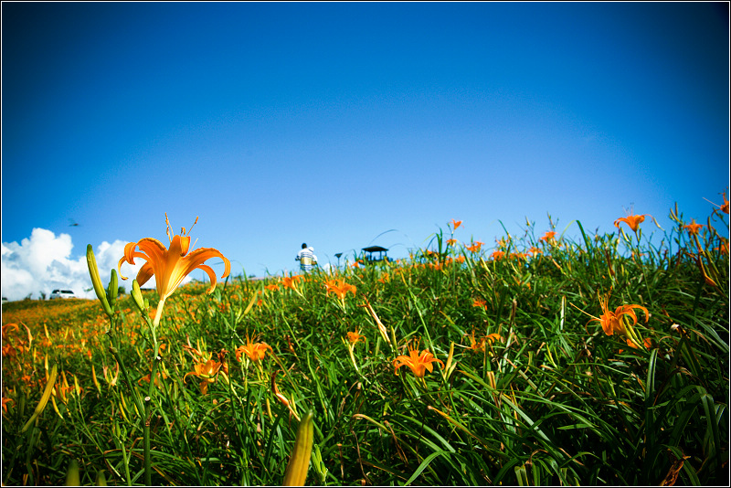 按此在新視窗瀏覽圖片