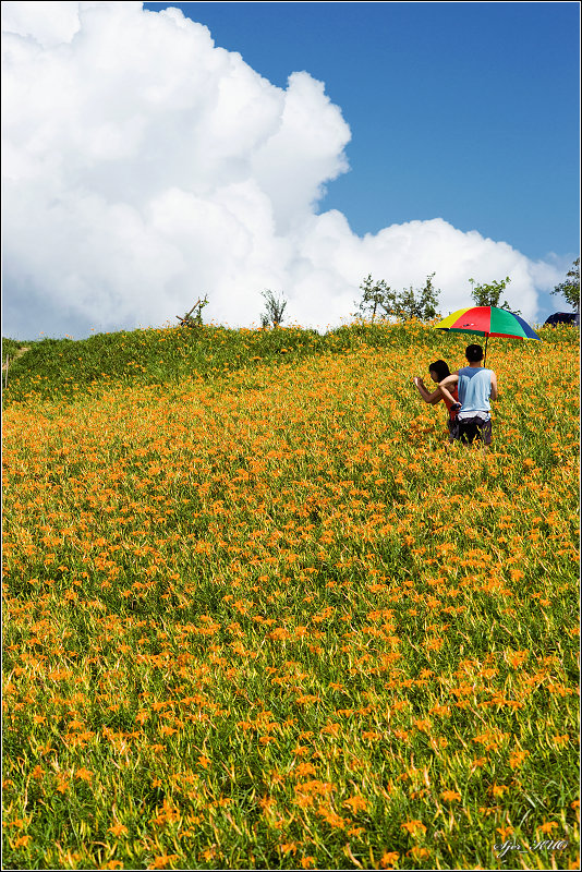 按此在新視窗瀏覽圖片