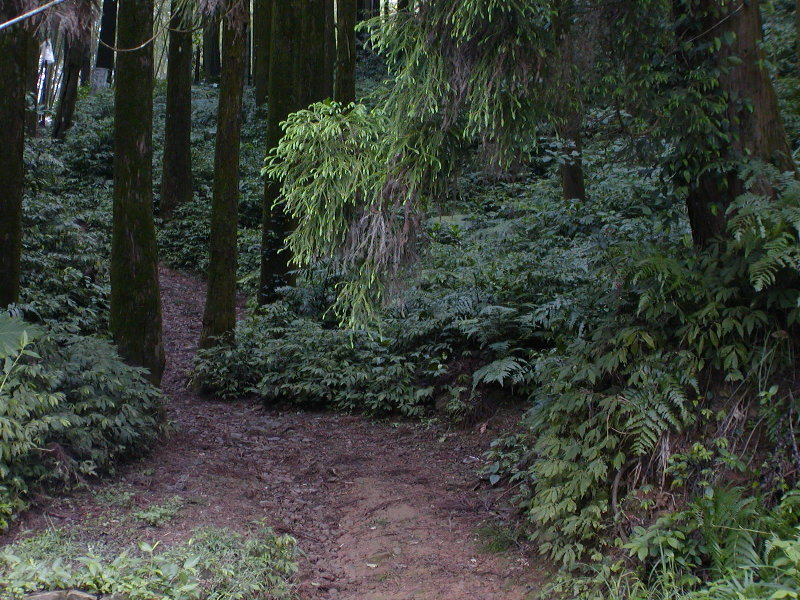 按此在新視窗瀏覽圖片