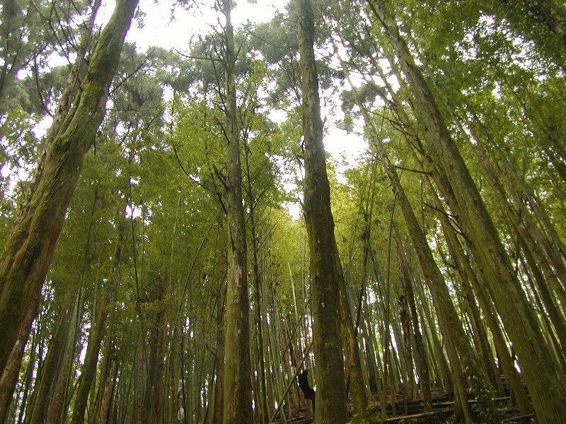 按此在新視窗瀏覽圖片
